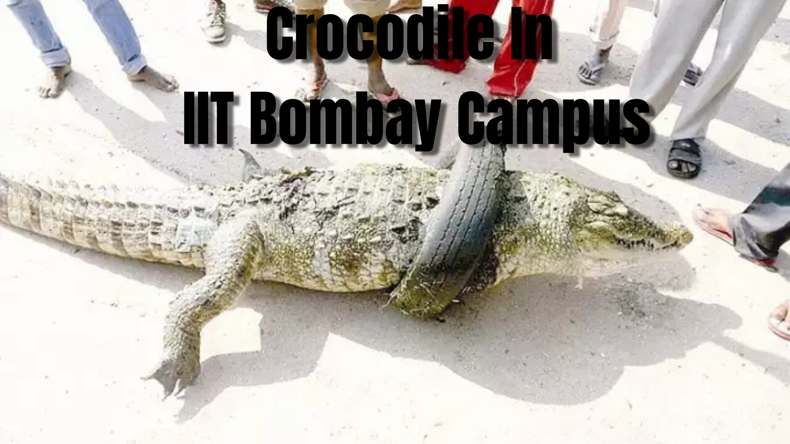 IIT Bombay Campus